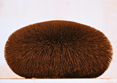 Traccia dell’arte (1986)