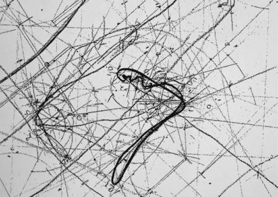 Tavola delle disponibilità (1990)