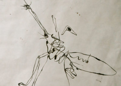 Penna di tucano (1991)