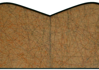 Fiori cosmici I  (1992)