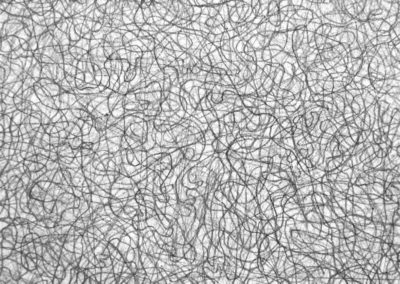 Variazione cosmica omogenea (2013)